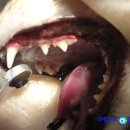 다나한방병원 이미지