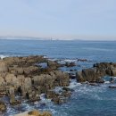 넘버25시그니처호텔 대청점 이미지