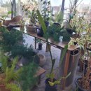 생선 92 밥상 이미지