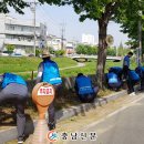 삼룡천 이미지