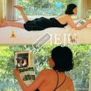 평거동 새마을작은도서관 | 제주도 숙소 독채 펜션 풀빌라 호텔 캠핑장 추천,웰니스 에가톳 캐빈 후기