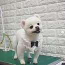 강사모백화점 이미지