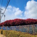 남원읍 씨사이드홈 이미지