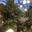 61 | 동두천 하패리61 &amp; 올리앤 다녀온 후기 :) 데이트코스로도 추천!
