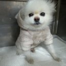 전주중앙초등학교 이미지