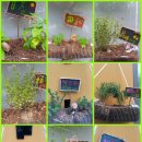 푸른길작은도서관 이미지