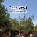 무릉도원면-42 이미지