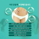 마이셀 네이버블로그