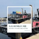 [속초] 모래기 배낚시체험 후기