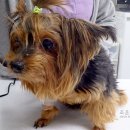 도희동물병원 이미지