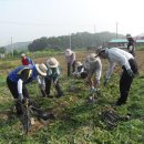 인주면사무소 이미지