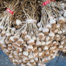 대야시장 이미지