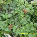 용사목장 이미지