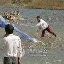 투망