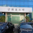 노폐물은 배출하고 약효는 넣어주고! 창원 서상동 금화효소원 후기