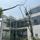 부산 강서구 애견 동반 카페 ‘보다’ – 리버뷰·키즈존·보다라떼 후기!