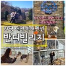 11월 강아지랑 &#34;가평 반디빌리지&#34; 애견독채펜션 ANNIE(복층, 개별운동장, 수영장, 바베큐, 애견스파 등)