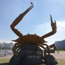 해오름광장 꽃게동상 네이버블로그