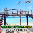 길리 거북이 포인트 시간! 스노쿨링 후기부터 주변 바 정보까지?!
