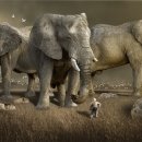 홍릉로 8 ~ 홍릉로 14-2 이미지