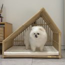 메리도그하우스2 이미지