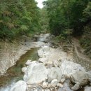 춘성할인마트 이미지