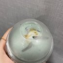 카페051 | [카페 051] 가을 신메뉴 &lt;피스타치오&gt; 내돈내산 후기!