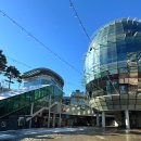 고래수산 | 송파 맛집 추천 | 가락시장 고래수산 후기(대방어모듬A 솔직 내돈내먹·서울 대방어 맛집·인어교주...