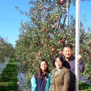 은정농장 이미지