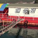 방파제펜션
