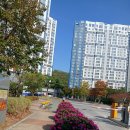 예산 절감,1차.3차.4차아파트 화분이 보여 주는 차이 이미지