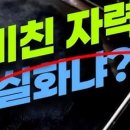 피네스토(Finesto) 이미지