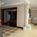 둔산중로 이미지