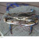 미성자원환경 이미지