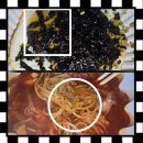 배달의쌀국수 | 충북 배달 맛집 순두부 짬뽕 쌀국수 내돈내산 솔직 후기 "오유미당"