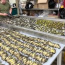 국도2호선 이미지