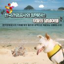 혜성관광 이미지