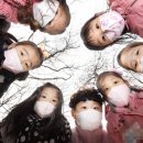 봄 숲으로 가자 이미지