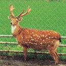 상열농장 이미지