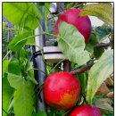 가음농장 이미지