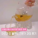웰니스펫뷰티 | 강원도에서 보낸 향기로운 하루 — 아로마 티 블렌딩 전문가 과정 후기