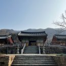 영광 불갑사 대웅전 | 영광 가볼만한곳 불갑사 사찰 탐방