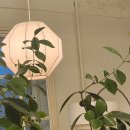 용산시장 외곽 | 용산 해방촌 맛있는 놀거리 르몽블랑 카페 디저트