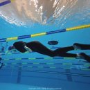 지에스(GS)25 망미산호점 | 프리다이빙 원데이 체험 후기 서울프리다이빙아카데미센터 (올림픽 수영장 잠수풀)