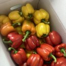 명문농장 이미지