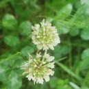 구봉중학교 앞 이미지