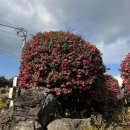 큰가내마을 이미지