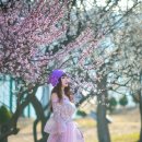 꽃나루공원 이미지