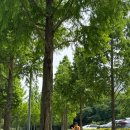 강변공원 이미지