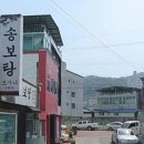 송보탕 이미지